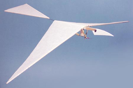 Seabird Kit Ornithopter